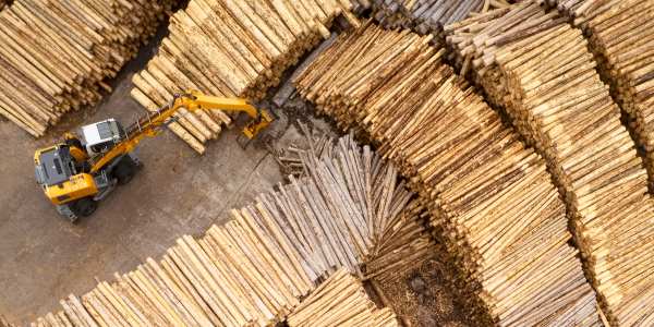 Aerial view of sawmill and chopped tree wood log stacks in a row with machinery