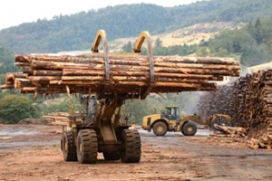 a scene at a log yard