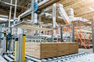 modern sawmill preparing lumbers