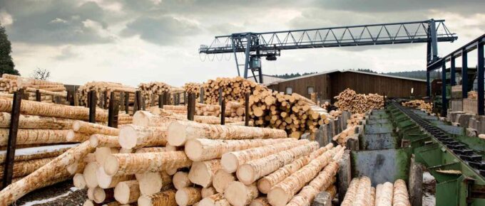 sawmill (lumber mill)