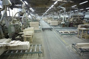 view of an automated sawmill