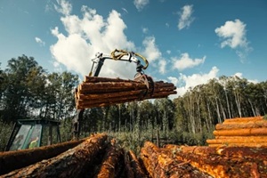 forestry forwarder is loading logs in a pile in forest