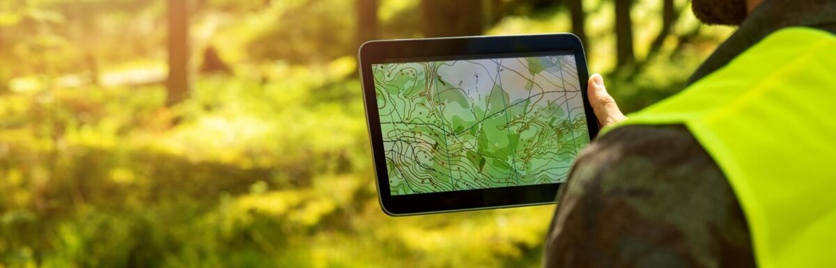 Seven Ways to Lower Your Forestry Insurance Premiums