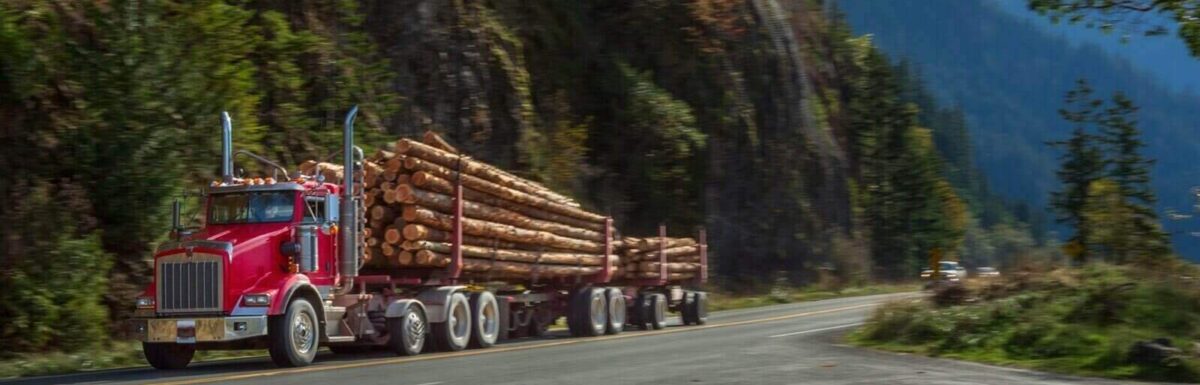 Avoiding Disaster in the Logging Industry with Insurance