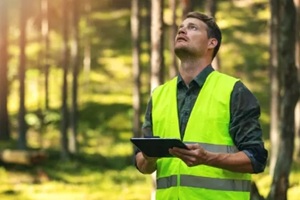 forest audit and management - forestry engineer working with digital tablet in the woods