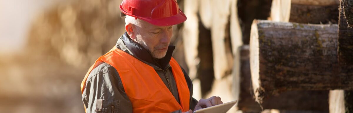 5 Key Considerations When Choosing a Forestry Insurance Provider