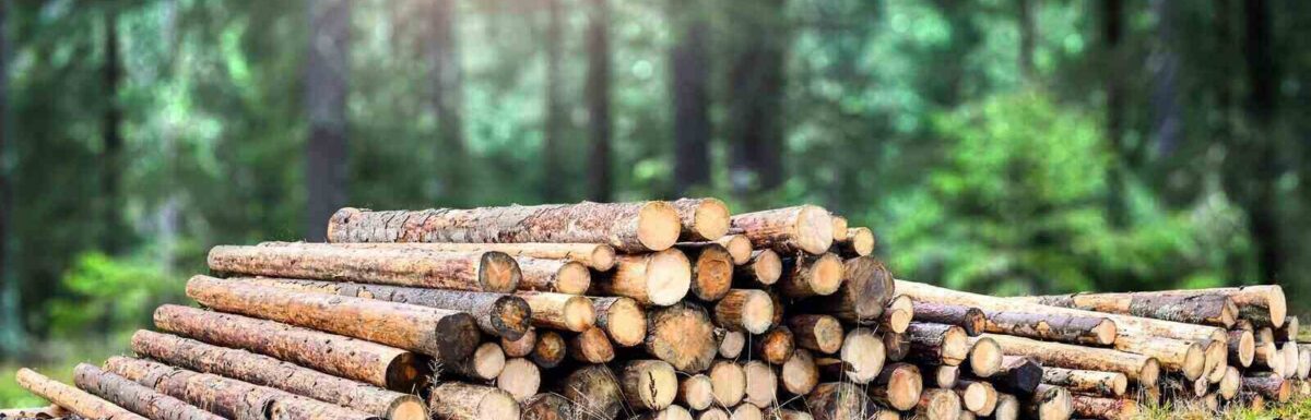 The 6 Most Common Claims Handled by Forestry Insurance Policies