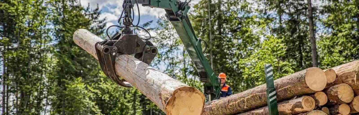 How Forestry Insurance Protects Against Fire, Storms, and Equipment Loss