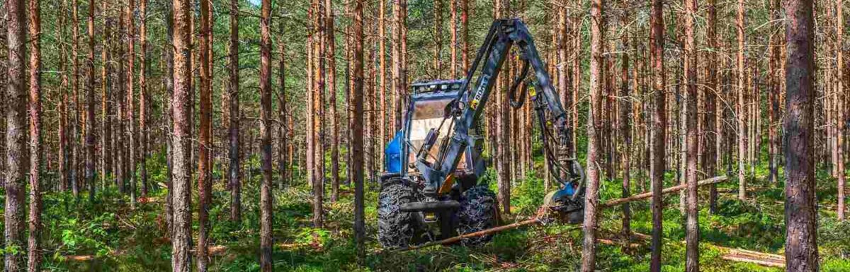 The Role of Forestry Insurance in Sustainable Land Management