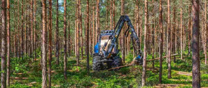 harvester working with thinning in a woodland