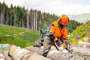 lumberman work wirh chainsaw in the forest