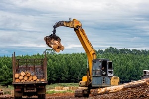 tractor mechanical arm loading wooden logs to truck