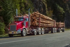 big truck with wood logs