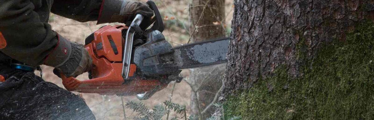 Forestry Insurance for Logging Companies and Independent Contractors