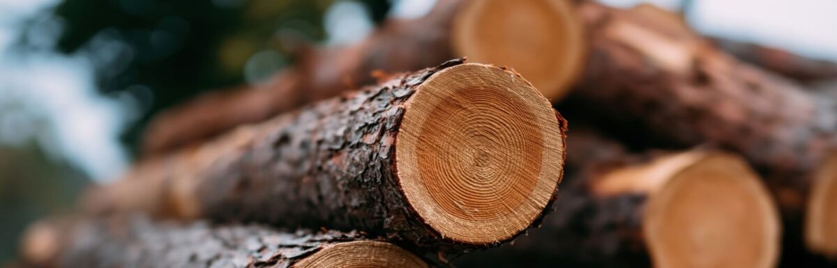 How Logging Insurance Covers Legal Defense Costs in Timber Trespass Suits