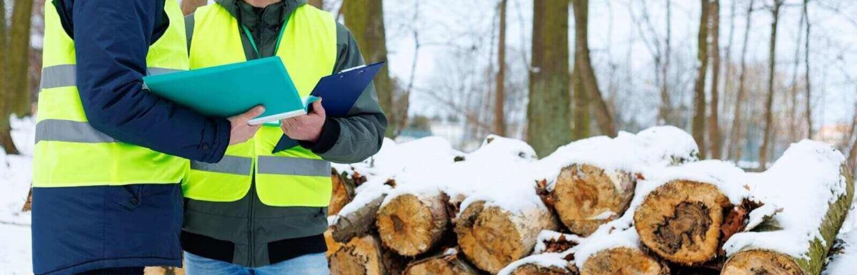 Understanding Timber Theft Coverage in Forestry Insurance Policies