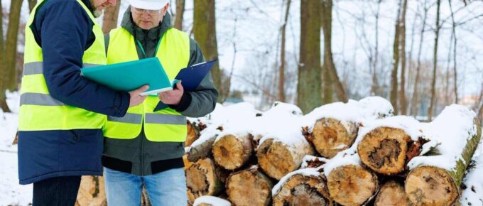 forestry workers standing in front of a large stack of felled trees in a winter forest