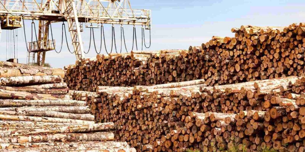 large trunks wood logs stacks stored in industrial plywood factory territory