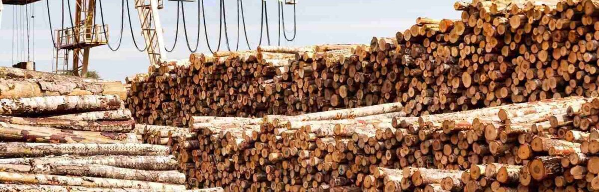 Why Overcoming Underinsurance Is Vital for Logging Insurance Holders