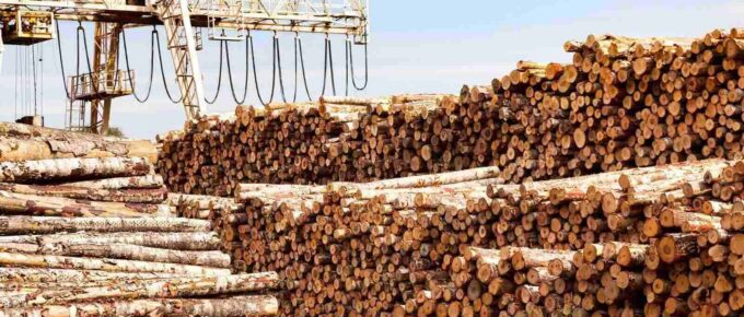 large trunks wood logs stacks stored in industrial plywood factory territory