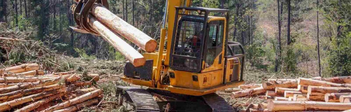 How Logging Insurance Protects You From Third-Party Liability Claims