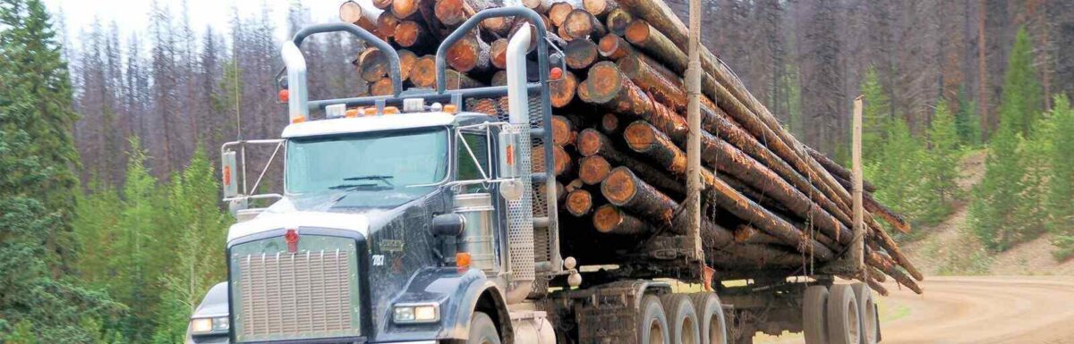 Top Insurance Risks Faced by Logging and Forestry Businesses