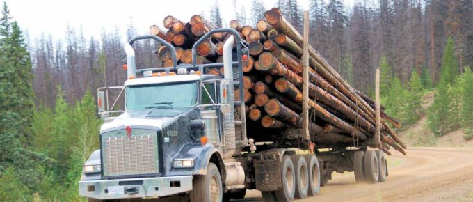 hauling pulpwood in british columbia