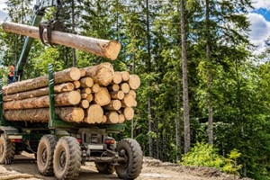 loading logs onto a logging truck