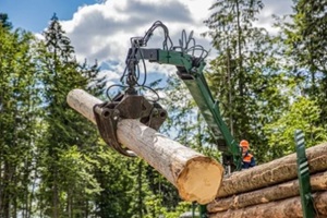lumberjack with modern harvester working in a forest